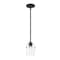 Designers Fountain Summer Jazz 60 Watt 1-Light Matte Black Transitional Pendant Light with Clear Glass Shade D310M-5P-MB - alternate 4